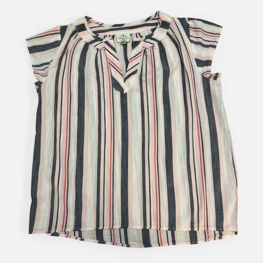 St. John's Bay Striped Blouse in Pink, Blue, and White